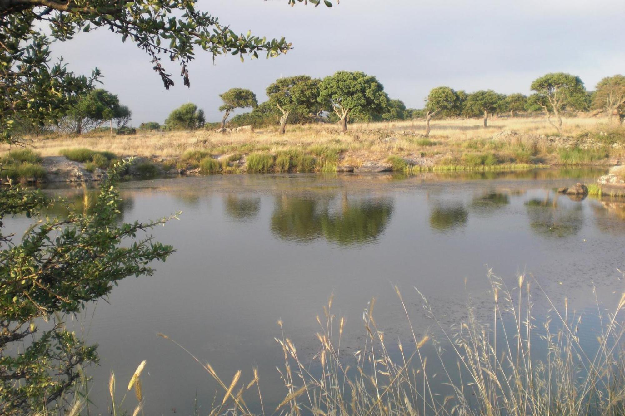 Agriturismo Pentuma Chiaramonti Εξωτερικό φωτογραφία