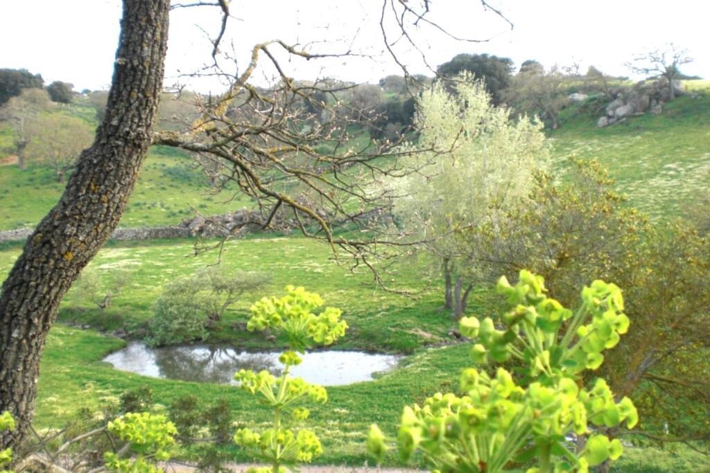 Agriturismo Pentuma Chiaramonti Εξωτερικό φωτογραφία