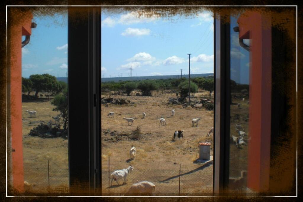 Agriturismo Pentuma Chiaramonti Δωμάτιο φωτογραφία