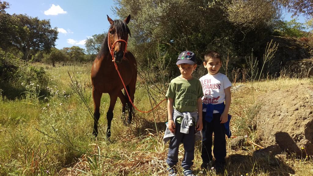 Agriturismo Pentuma Chiaramonti Εξωτερικό φωτογραφία