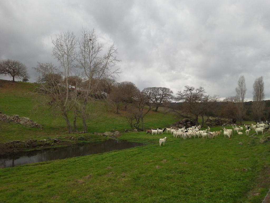 Agriturismo Pentuma Chiaramonti Εξωτερικό φωτογραφία