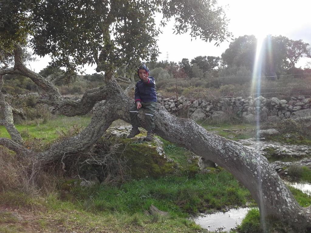 Agriturismo Pentuma Chiaramonti Εξωτερικό φωτογραφία