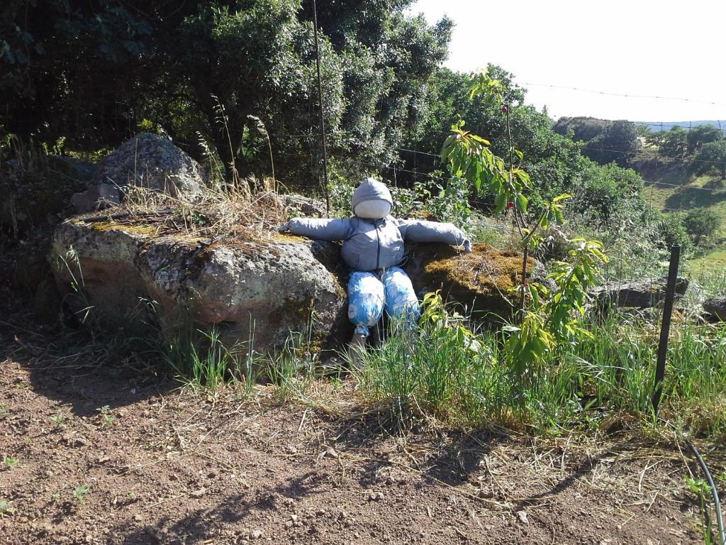 Agriturismo Pentuma Chiaramonti Εξωτερικό φωτογραφία